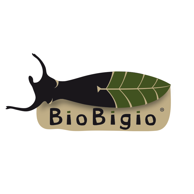 Logo bigiotteria creata in Brasile 
