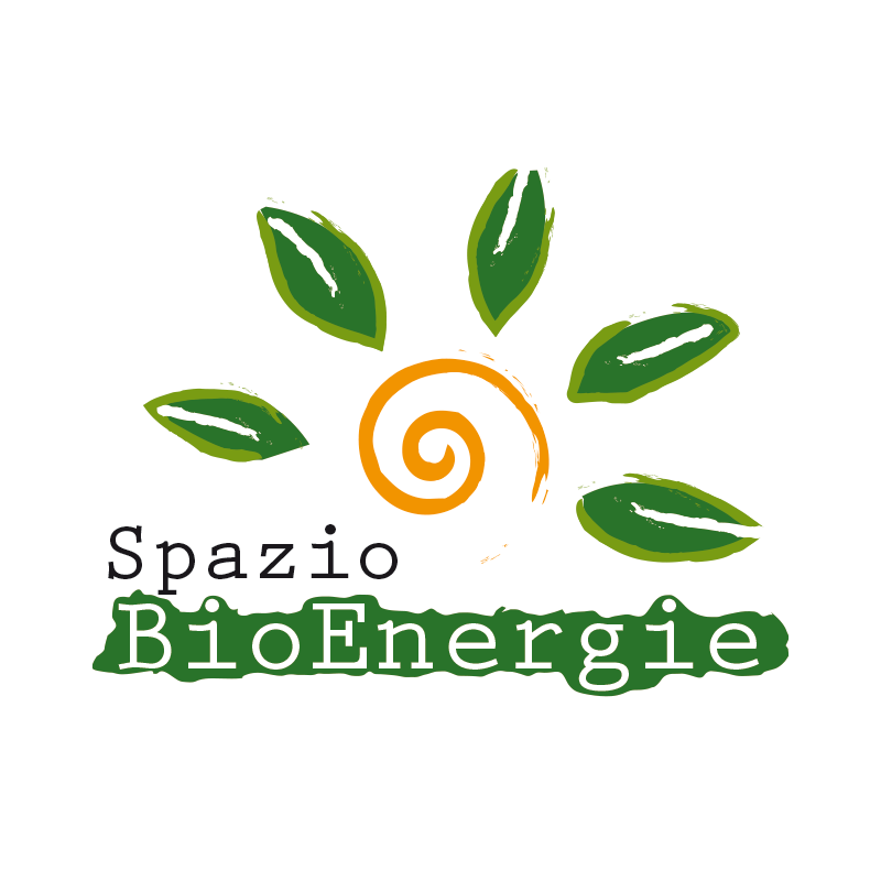 Logo Convegno Bioenergia Firenze - Legambiente